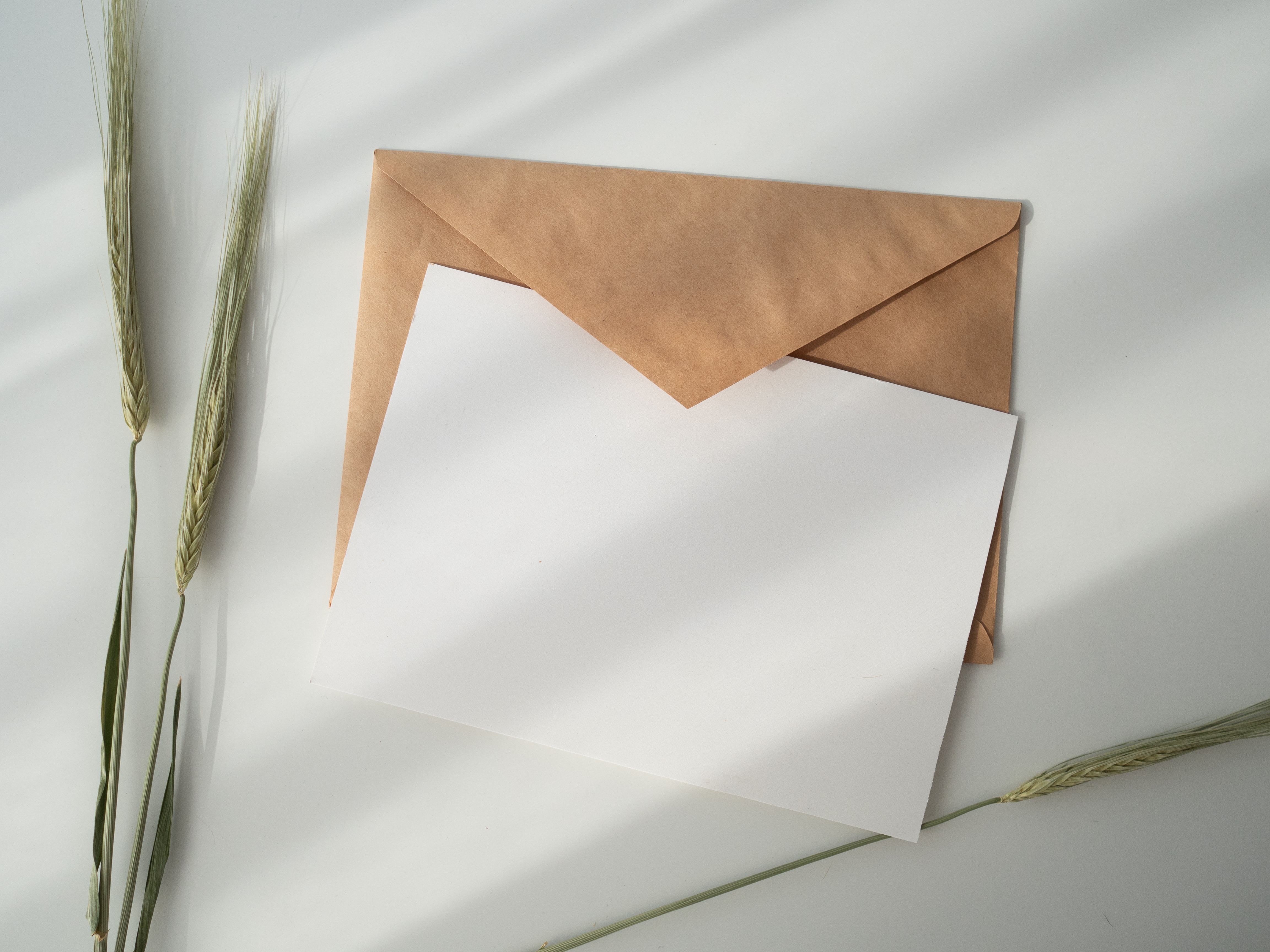 Picture of a brown envelope with paper on top of it, laid down on a table beside some foliage.